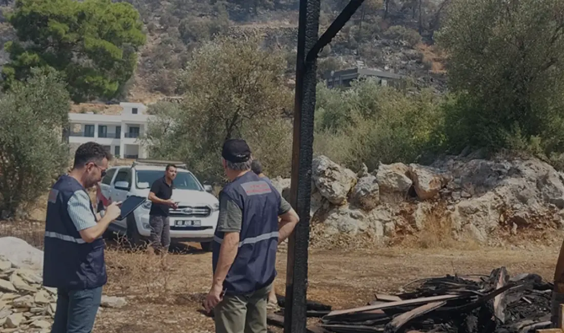 Bakan Murat Kurum, Antalya, Muğla ve Balıkesir'deki orman yangınlarında 65
