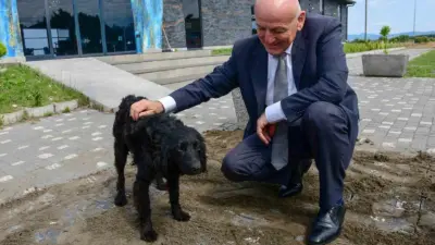 Samsun Terme Belediyesi tarafından Akbucak Mahallesi’nde yapımı sürdürülen Hayvan Bakımevi