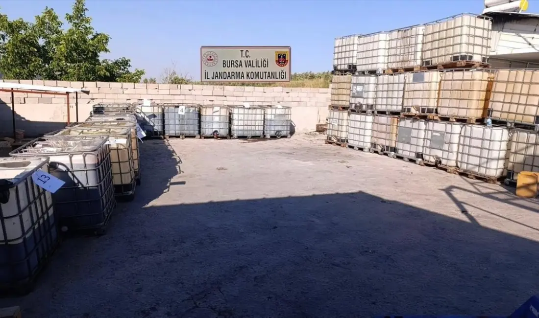 Bursa’da jandarma ekiplerince düzenlenen operasyonda piyasa değeri yaklaşık 10 milyon