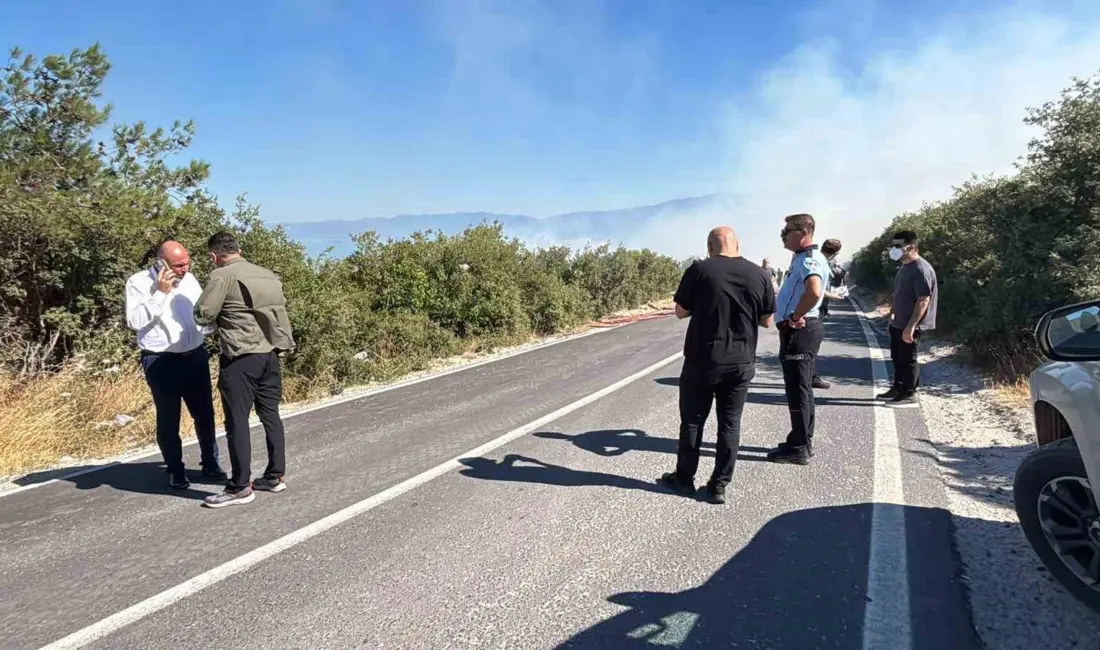 Bursa’nın Orhangazi ilçesinde yerleşim alanının hemen yanındaki makilik alanda yangın
