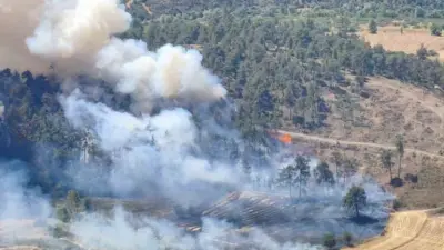 Bursa’nın Büyükorhan ilçesinde otluk alanda çıkan yangın ormana sıçradı. Yangına