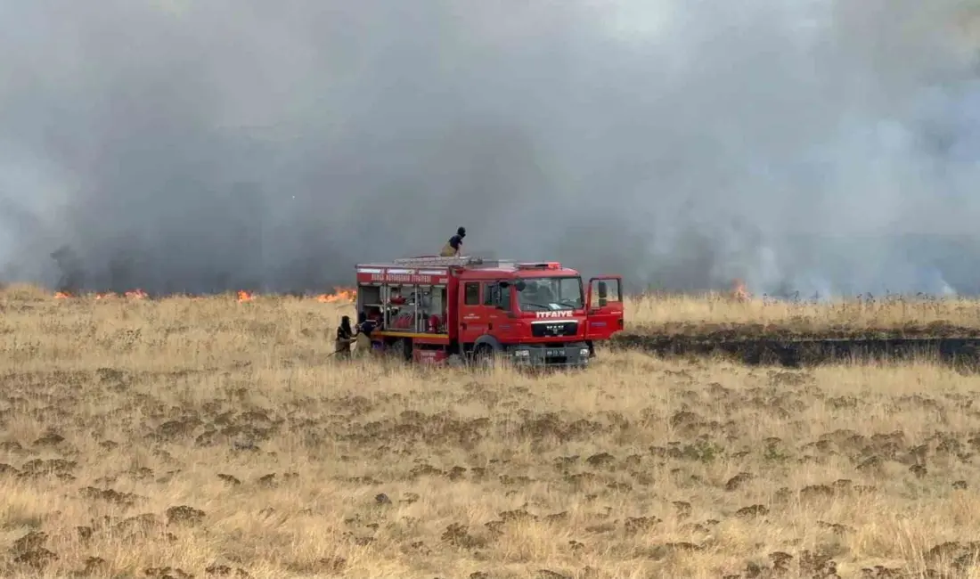 Bursa’da Yenişehir Havalimanı girişinde bulunan otluk alanda çıkan yangın, kısa