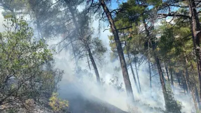 Bursa’nın Büyükorhan ilçesinde otluk alanda başlayarak ormanlık alana sıçrayan yangın,
