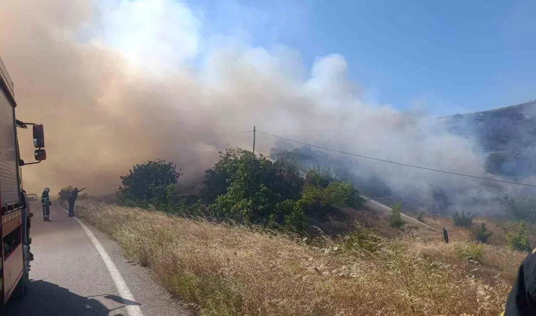 Bursa’nın İnegöl ilçesinde güneş panellerinin bulunduğu alanda çıkan yangın, çevredeki