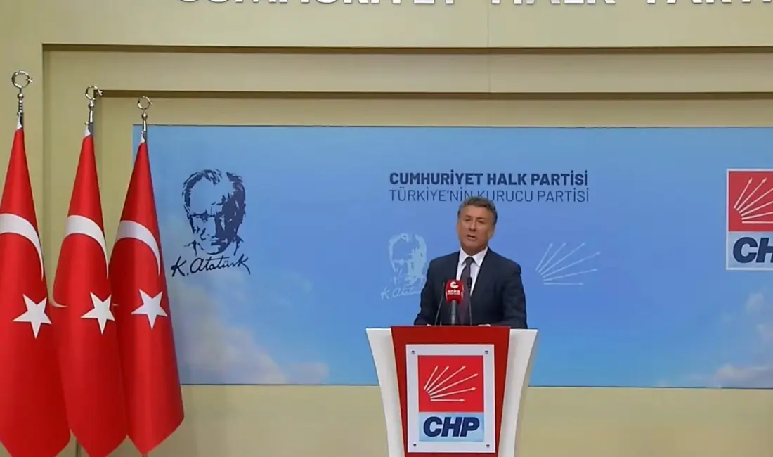 Cumhuriyet Halk Partisi (CHP) Yurtiçi Örgütlenmeden Sorumlu Genel Başkan Yardımcısı