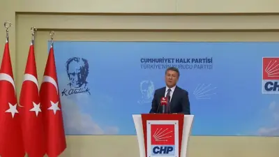 Cumhuriyet Halk Partisi (CHP) Yurtiçi Örgütlenmeden Sorumlu Genel Başkan Yardımcısı