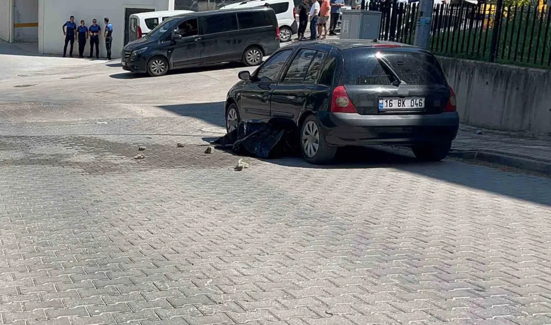 Bursa’da çöp kamyonunun çarptığı yaşlı adam hayatını kaybetti. Kaza, Mudanya