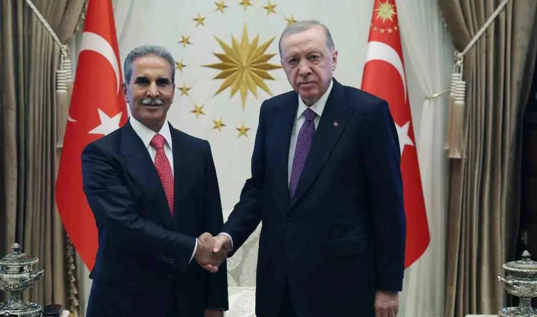 Cumhurbaşkanı Recep Tayyip Erdoğan, Irak Yüksek Yargı Konseyi Başkanı Faik