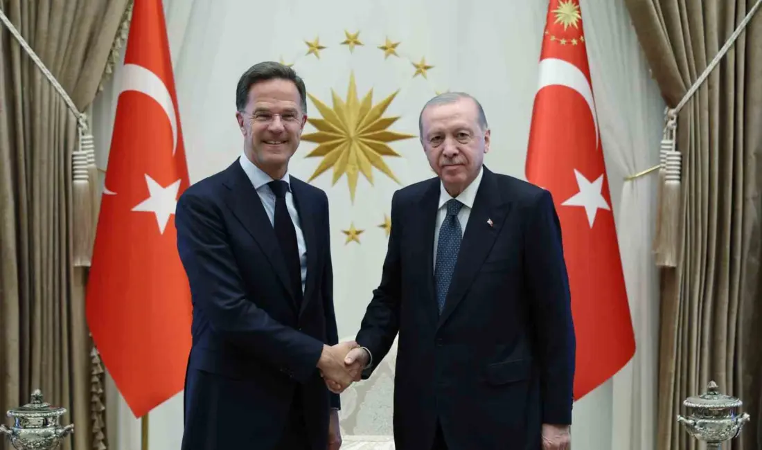 Cumhurbaşkanı Recep Tayyip Erdoğan, NATO Genel Sekreteri Mark Rutte’yi kabul