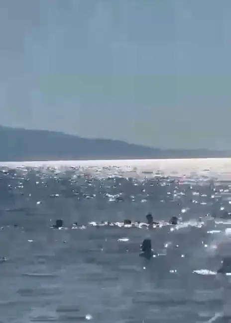 Bursa’da serinlemek için denize gelen baba ve 2 kızı, boylarının