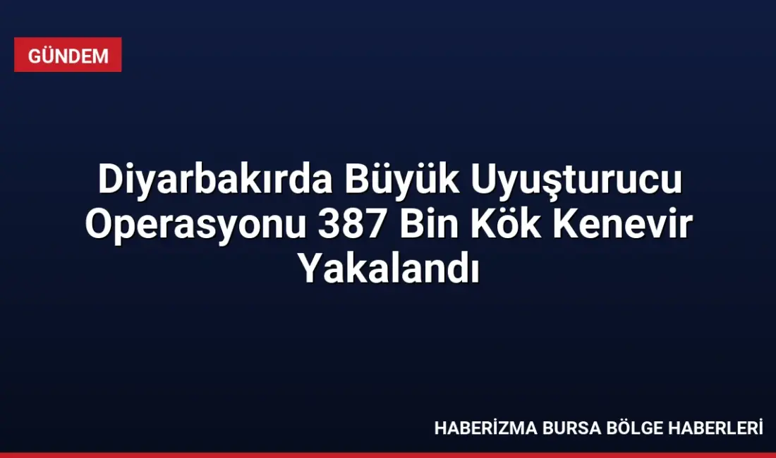 Diyarbakır'ın beş ilçesinde düzenlenen operasyonlarda 387 bin kök kenevir ele