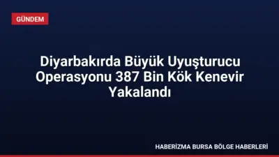 Diyarbakır'ın beş ilçesinde düzenlenen operasyonlarda 387 bin kök kenevir ele