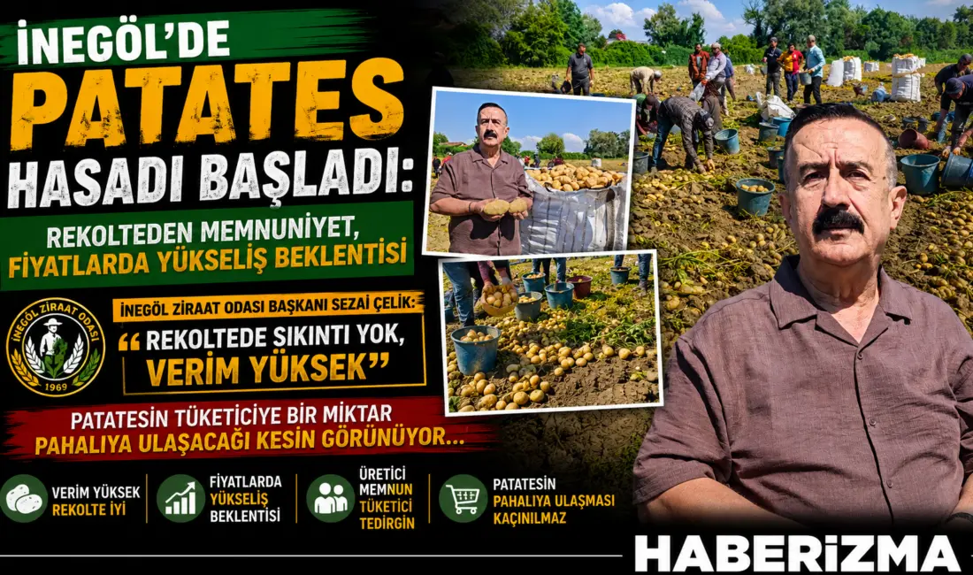 İnegöl’de yazlık patates hasadı devam ederken, İnegöl Ziraat Odası Başkanı