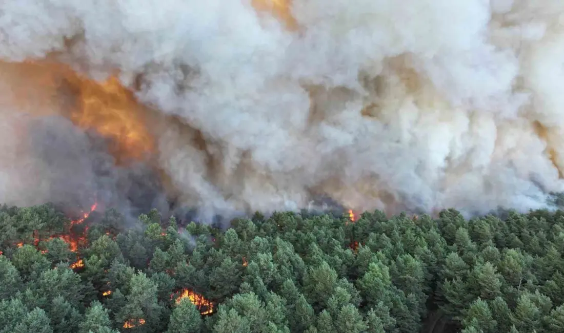 Fransa’nın başkenti Paris’in güneyindeki ünlü Fontainebleau Ormanı ve çevresinde devam