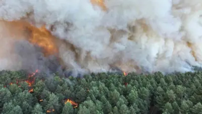 Fransa’nın başkenti Paris’in güneyindeki ünlü Fontainebleau Ormanı ve çevresinde devam