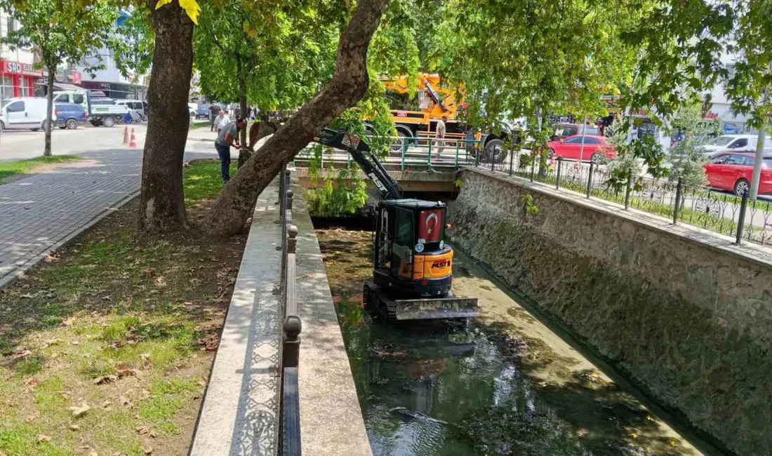 Gemlik ilçe merkezinden geçen Çarşı Deresi’nde temizlik çalışmaları başladı. Bursa