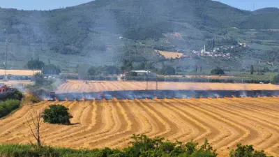 Bursa’nın Gemlik ilçesinde yaşanan otluk yangını itfaiye ekiplerinin zamanında müdahalesiyle