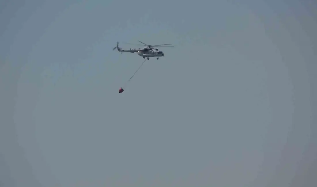 Balıkesir’in Gömeç ve Ayvalık ilçelerinde çıkan orman yangınlarına havadan ve