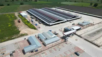 İnegöl’de bir mahallede görülen şap hastalığı vakası nedeniyle İlçe Tarım