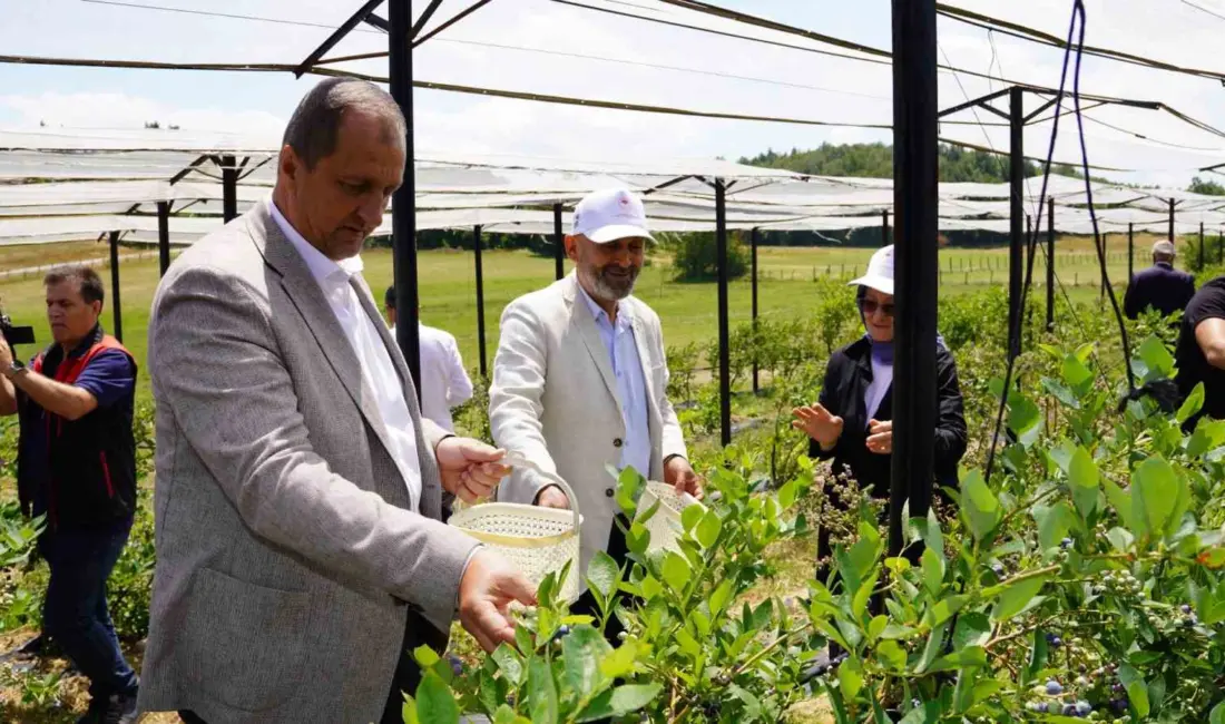 Bursa Valiliği İl Tarım ve Orman Müdürlüğü tarafından yürütülen “Organik