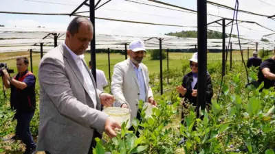 Bursa Valiliği İl Tarım ve Orman Müdürlüğü tarafından yürütülen “Organik