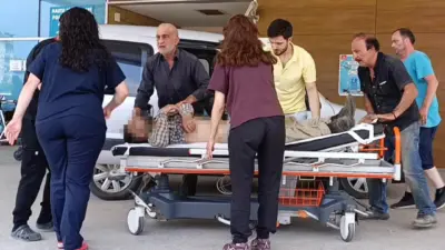 Bursa’nın İnegöl ilçesinde mantar toplamak için ormanlık alana giden cami