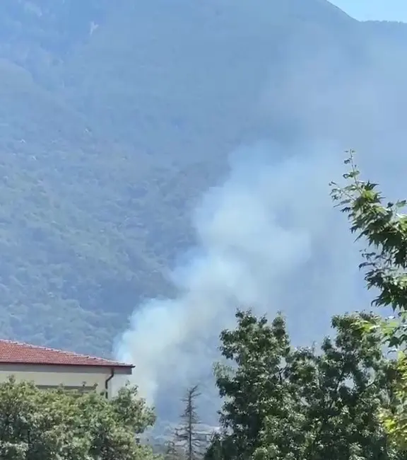 Bursa’nın Kestel ilçesi’nde orman yangını çıktı. Bölgeye sevk edilen ekipler,