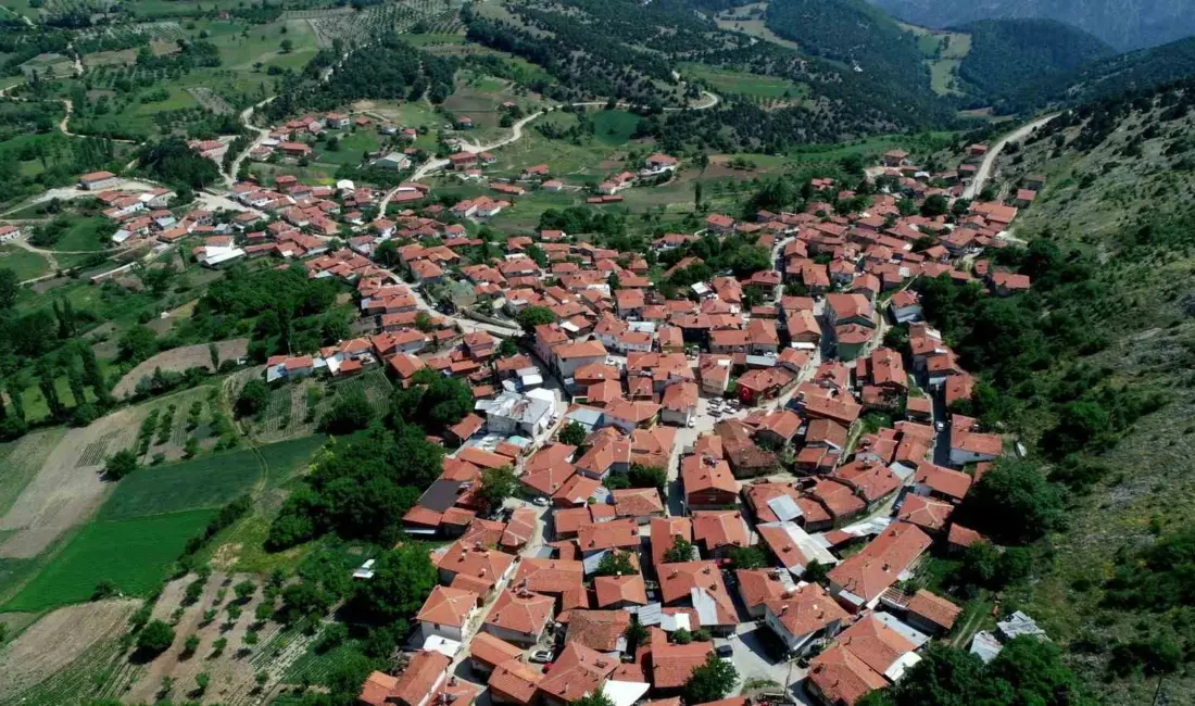 Bursa’nın Keles ilçesinde kurulu Sorgun Köyü Tarımsal Kalkınma Kooperatifi’nce yıllardır