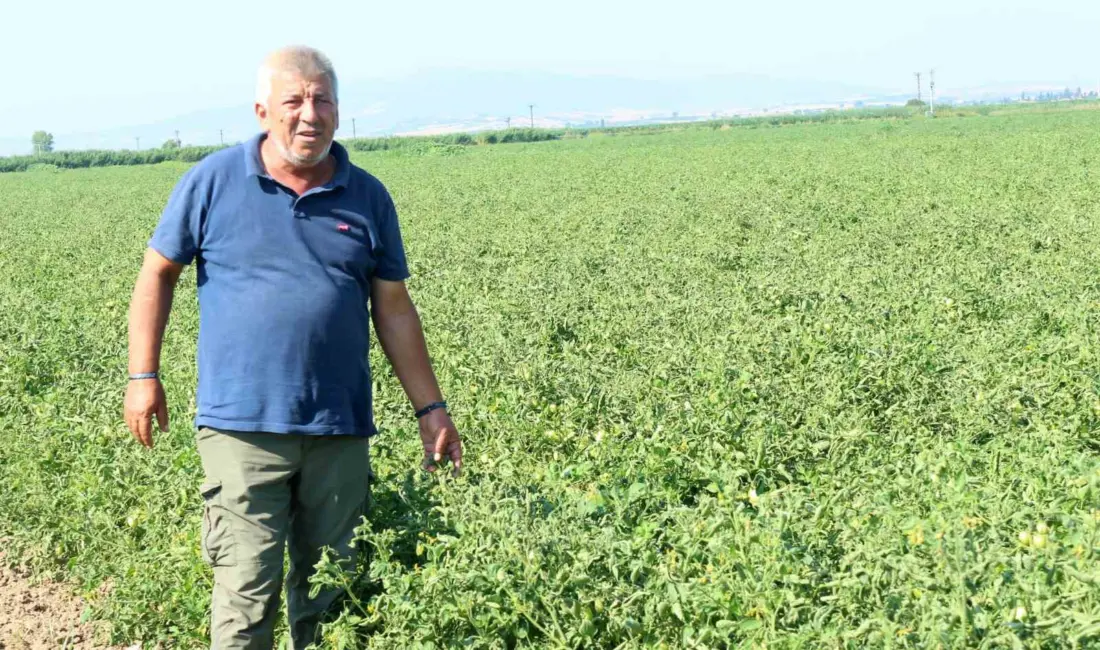 Karacabey Ziraat Odası Başkan Yardımcısı Ramazan Düzen, 2018 yılından bu