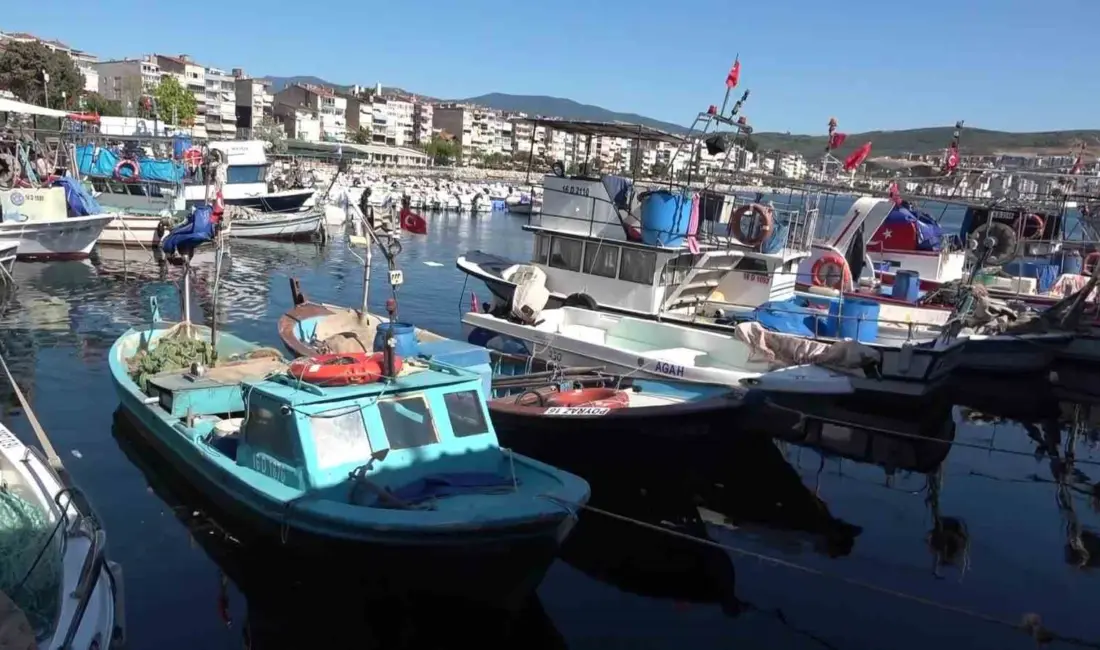 Bursa’nın Gemlik ilçesinde geçimini balıkçılıklar, denizlerdeki balık popülasyonunun azalması, müsilaj