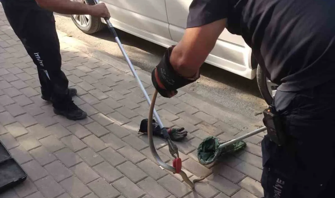 Bursa’nın İnegöl ilçesinde park halindeki bir minibüsün motor kısmına giren