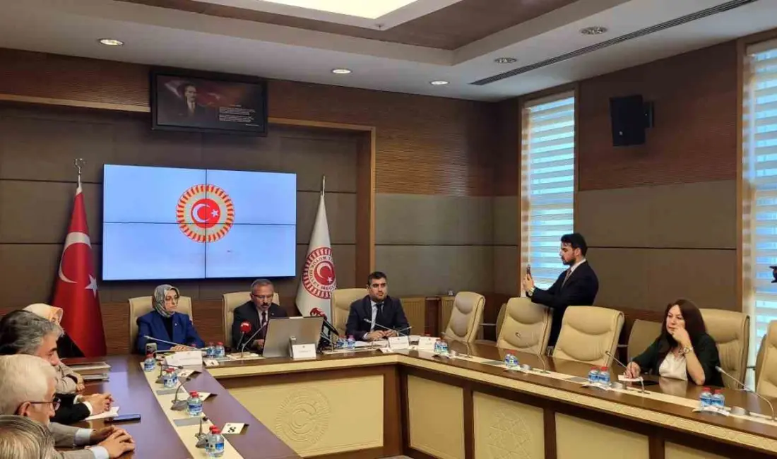 Şanlıurfa ve Kahramanmaraş Okul Olaylarını ve Dijital Riskleri Araştırma Komisyonu