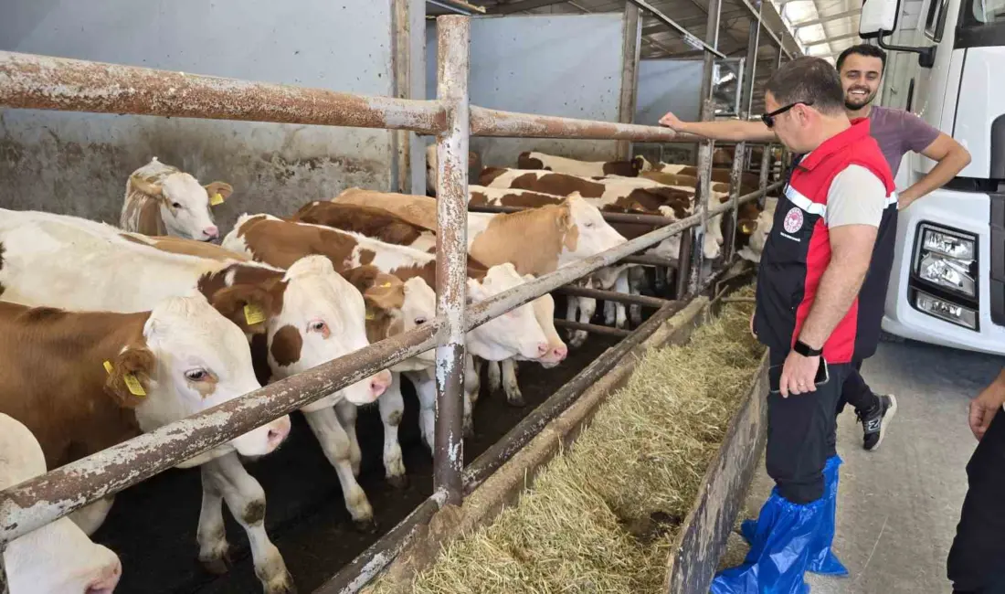 Bursa’nın Orhaneli ilçesinde Tarım ve Orman Müdürlüğü ekipleri hayvan yetiştiren