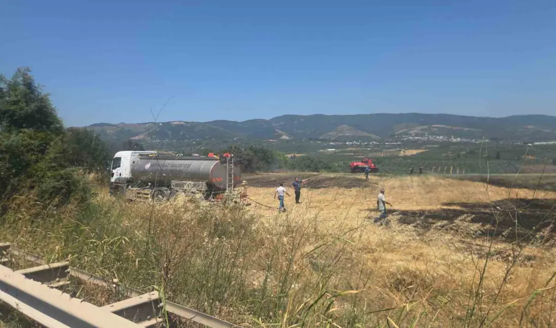 Bursa-Yalova Karayolu Orhangazi Süpürgelik mevkiinde yol kenarındaki ağaçlık alan ile