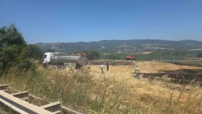 Bursa-Yalova Karayolu Orhangazi Süpürgelik mevkiinde yol kenarındaki ağaçlık alan ile