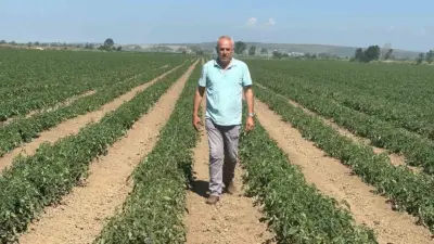 Bursa’nın Karacabey ilçesinde geçen yıl sözleşmeli üretim yapmasına rağmen alıcı