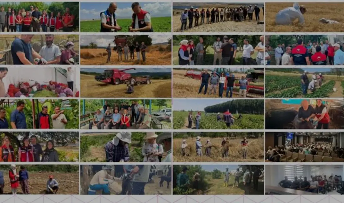 83'üncü Cuma Buluşması'nda TARSİM güvencesi, hasat verimliliği ve orman yangınlarına