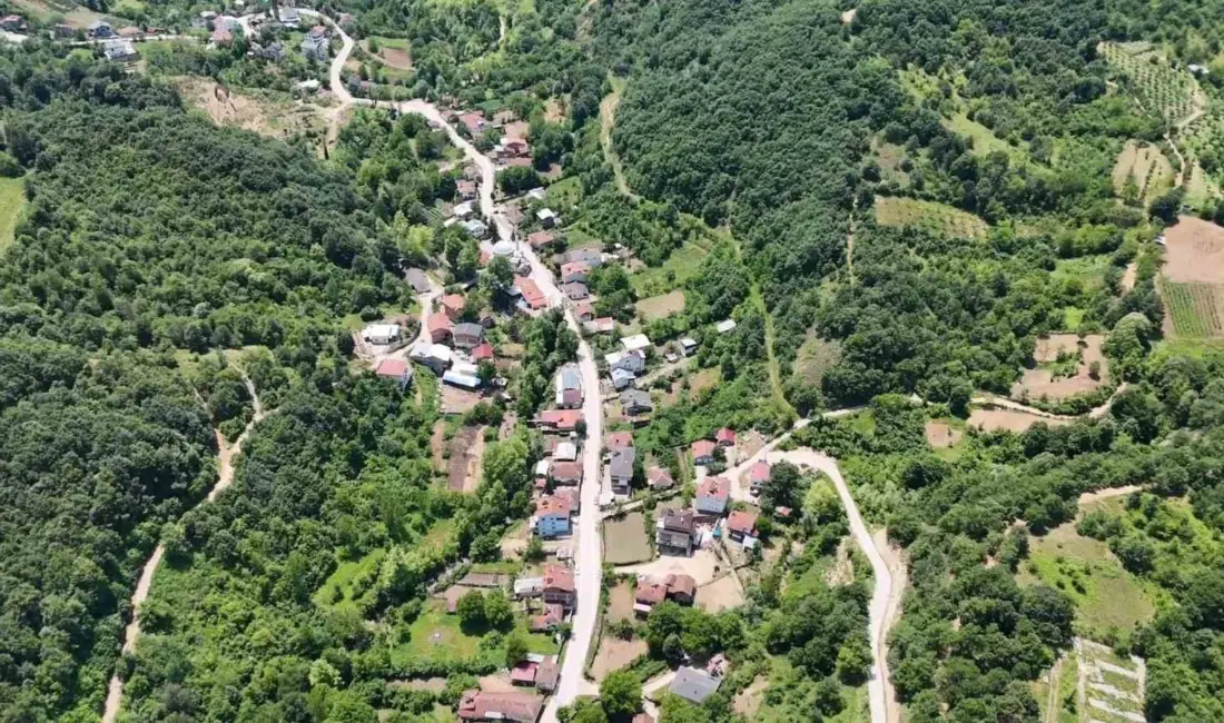 Bursa’nın İnegöl ilçesine 17 kilometre uzaklıkta olan kırsal Hilmiye Mahallesi,