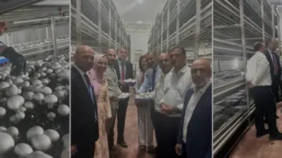 Van'da IPARD desteğiyle kurulan modern mantar üretim tesisi, 53 kişiye