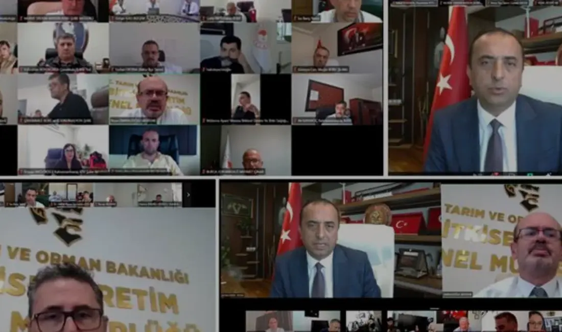 Türkiye'de 41 ilde eş zamanlı yürütülecek 2026 zeytin rekolte tespit