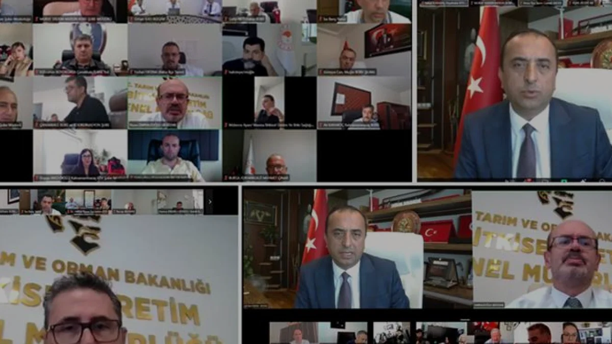 Türkiye'de 41 ilde eş zamanlı yürütülecek 2026 zeytin rekolte tespit