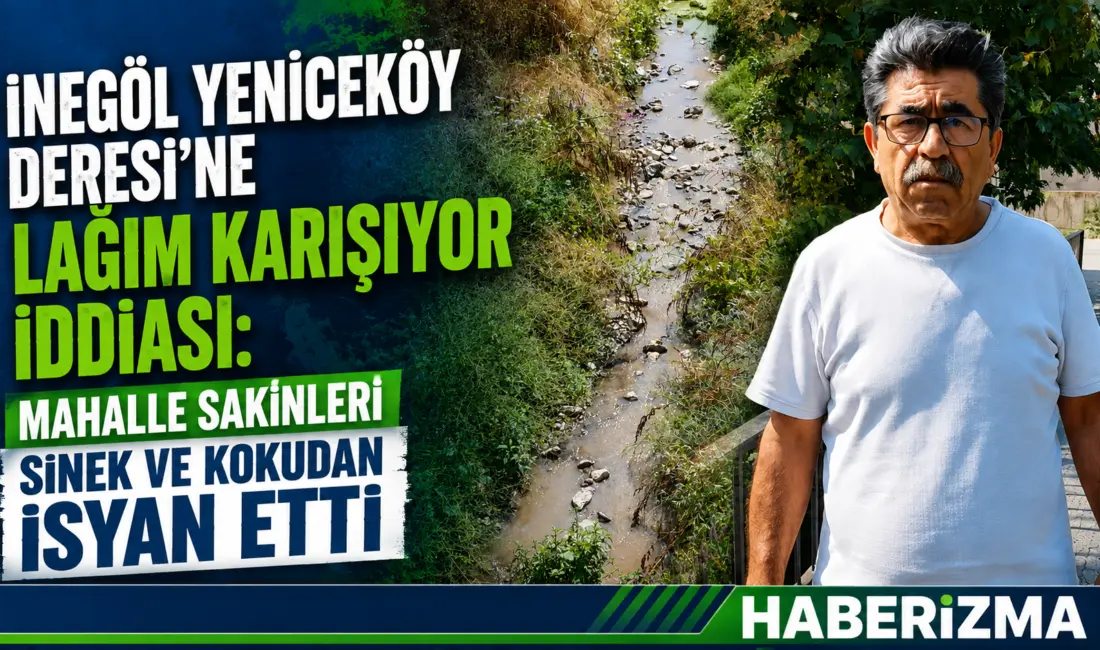 Bursa'nın İnegöl ilçesine bağlı Yeniceköy Mahallesi'nde yer alan dereye yeniden