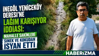 Bursa'nın İnegöl ilçesine bağlı Yeniceköy Mahallesi'nde yer alan dereye yeniden