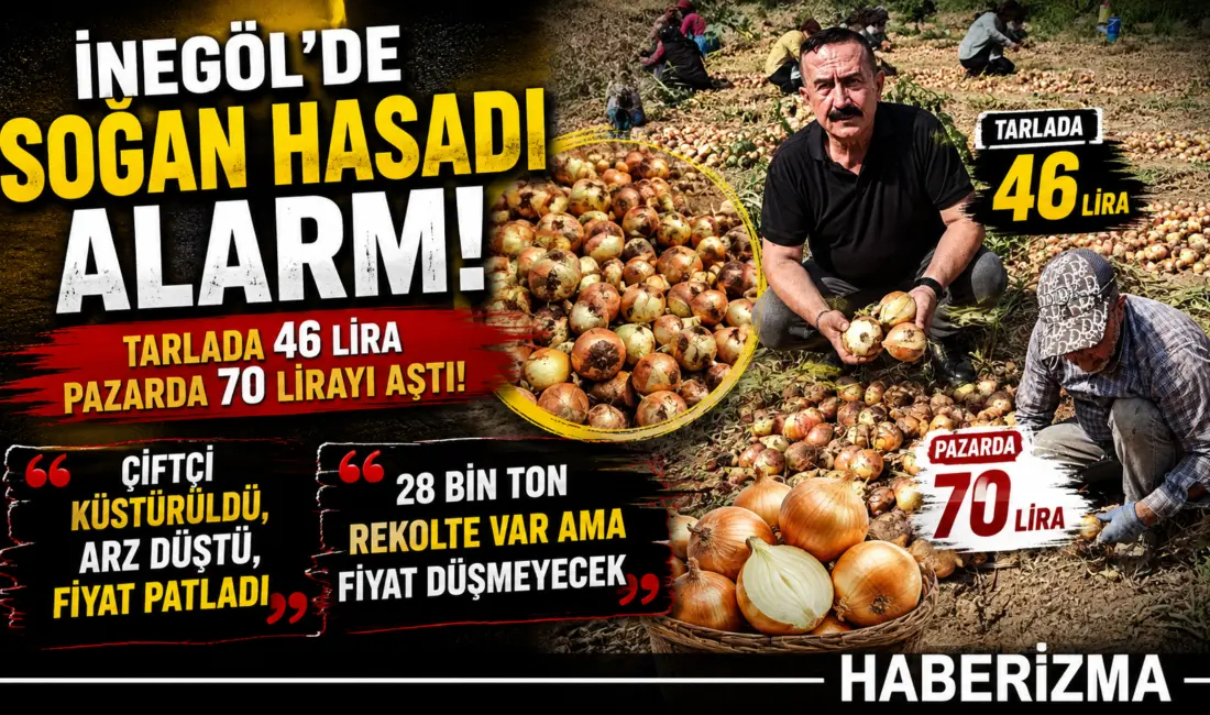 İnegöl Ziraat Odası Başkanı Sezai Çelik, tarlada devam eden soğan