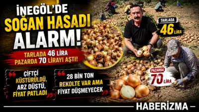 İnegöl Ziraat Odası Başkanı Sezai Çelik, tarlada devam eden soğan