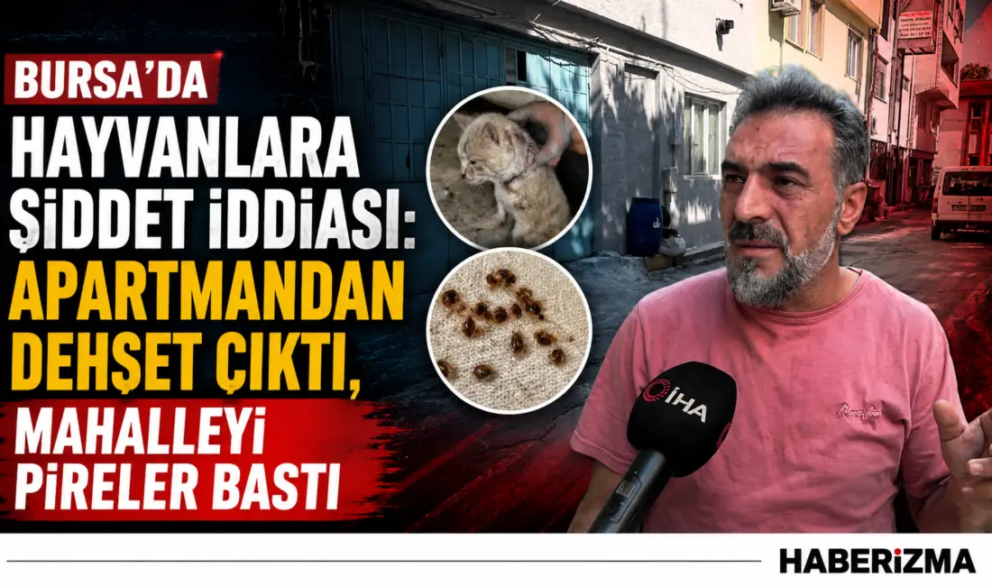 Bursa’nın Yıldırım ilçesinde kullanılmayan 3 katlı bir apartmanda çok sayıda