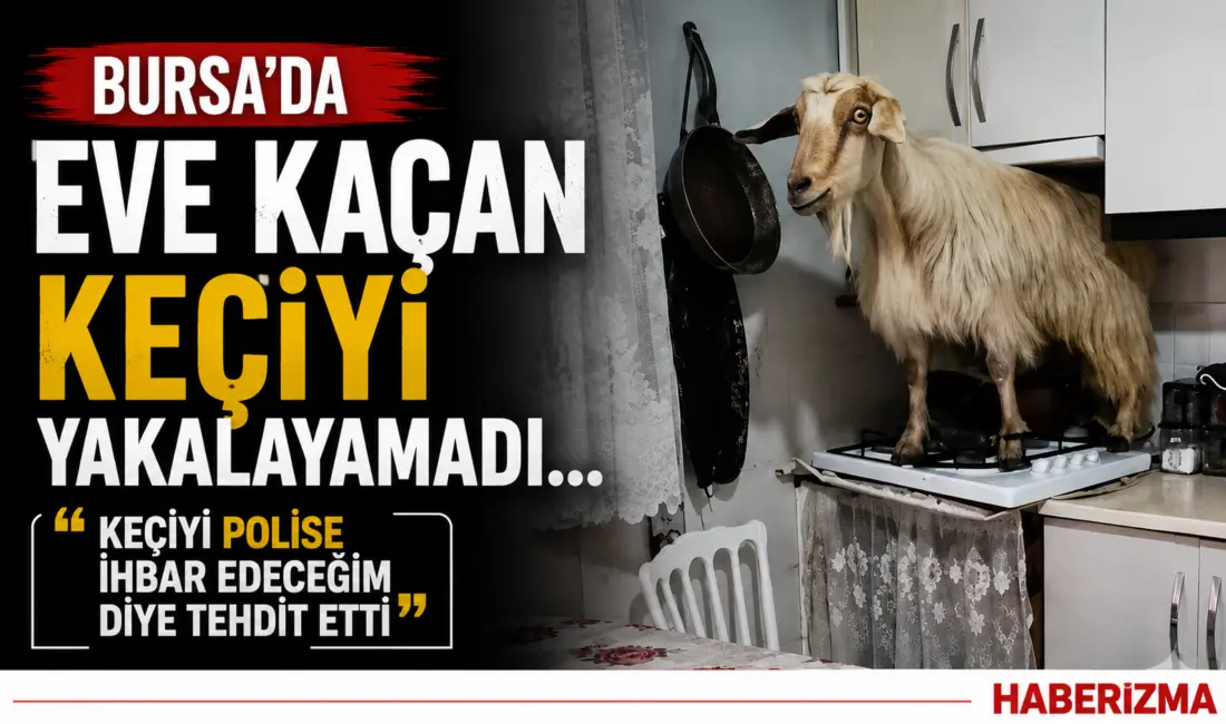 Bursa’da bir evde sabah saatlerinde yaşanan olay görenleri hayret ettirdi.