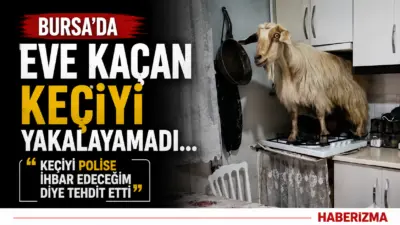 Bursa’da bir evde sabah saatlerinde yaşanan olay görenleri hayret ettirdi.