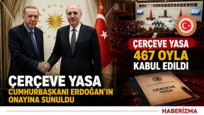 Kamuoyunda "Çerçeve Yasa" olarak bilinen Milli Dayanışma ve Toplumsal Bütünleşmenin