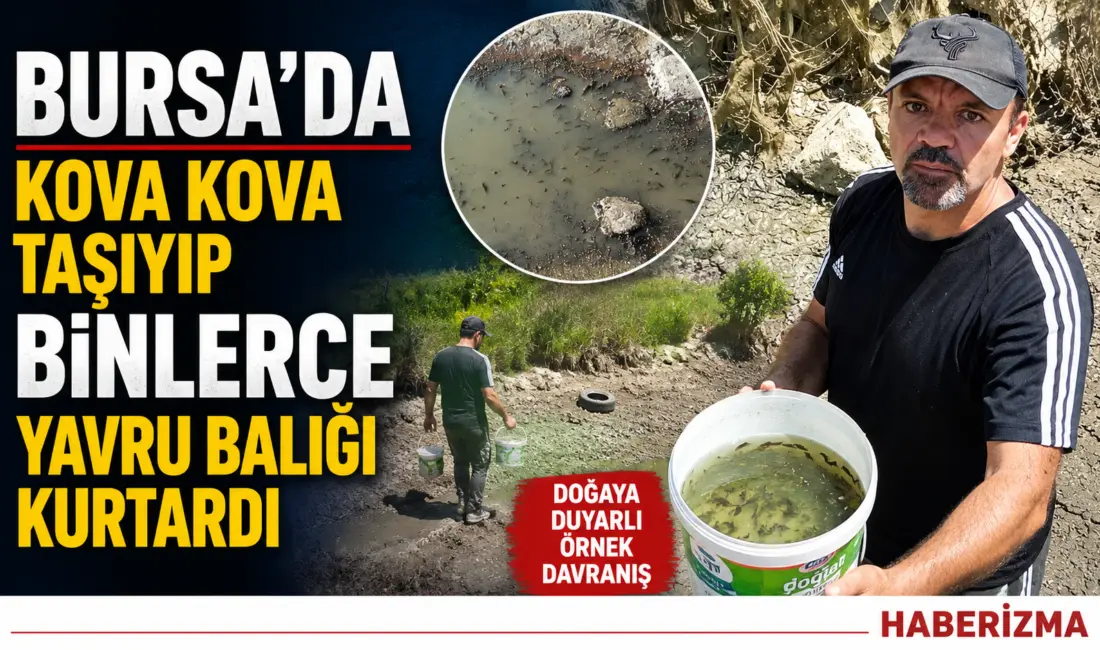 Bursalı doğa tutkunu Hasan Hacıoğlu (42) kuruyan deredeki binlerce yavru
